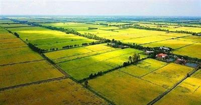 Chuyển mục đích sử dụng đất tại 3 tỉnh: Bạc Liêu, Ninh Bình và Hậu Giang