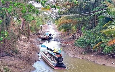 Cô lập carbon bằng phương pháp sinh học để ứng phó với xâm nhập mặn và nước biển dâng ở ĐBSCL