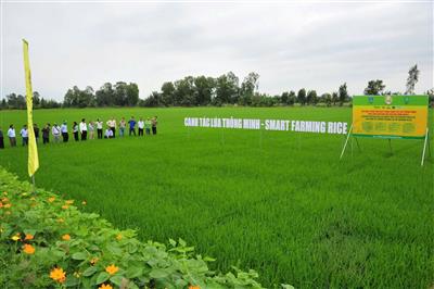 Công ty CP Phân bón Bình Điền tiên phong ứng dụng công nghệ sinh học theo tinh thần Nghị quyết 57