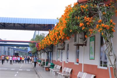 Công ty TNHH May Tinh Lợi: Doanh nghiệp an toàn tiêu biểu ngành dệt may Việt Nam