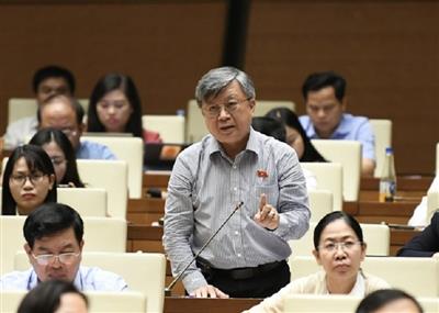 Đại biểu Quốc hội 'cực kỳ lo lắng' về việc miễn giấy phép khai thác khoáng sản