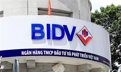 "Đại gia" khoáng sản Ngọc Linh - Món nợ nghìn tỉ khó đòi của BIDV