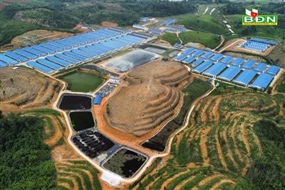 Đắk Nông phạt trại heo 110 triệu đồng vì xả thải ra môi trường
