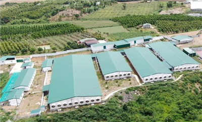 Đắk Nông: Tăng cường công tác bảo vệ môi trường để phát triển kinh tế bền vững