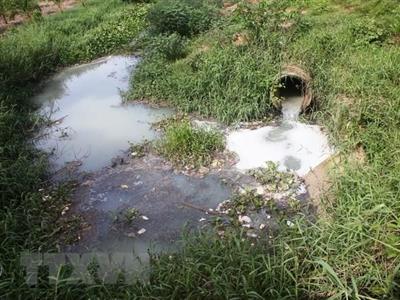 Đắk Nông: Xả thải gây ô nhiễm, một hộ dân bị phạt hơn 250 triệu đồng