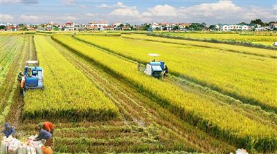 Đánh giá ảnh hưởng của biến đổi khí hậu đến sử dụng đất sản xuất nông nghiệp vùng Bắc Trung bộ giai đoạn 2011-2015