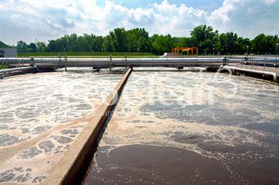 Đánh giá thích nghi sinh khối bùn và quá trình bẩn màng trong hệ Anoxic - MBR ứng dụng trong xử lý nước thải nhiễm mặn