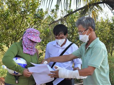 Đắp đập ngăn dòng chảy vì ô nhiễm từ chăn nuôi
