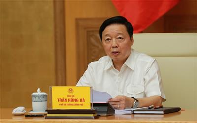 Đấu thầu thực hiện dự án đầu tư sử dụng đất: Phân nhóm kèm theo tiêu chí đánh giá riêng