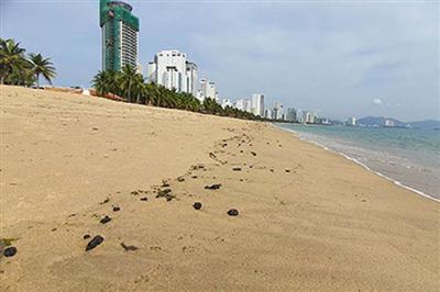 Dầu vón cục dạt vào bãi biển Nha Trang