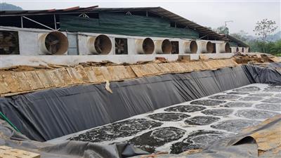 Bắc Giang: Đề nghị các địa phương rà soát, kiểm tra các trại chăn nuôi