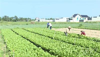 Đề xuất giải pháp đẩy mạnh tích tụ tập trung đất đai tại huyện Quảng Xương tỉnh Thanh Hóa đến năm 2021