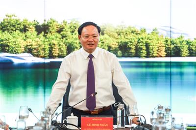 Đề xuất Nhà nước trực tiếp quản lý sử dụng đất trong khu kinh tế, sân bay