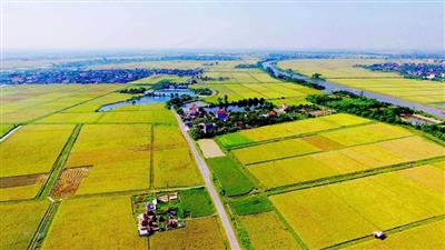 Điểm mới nổi bật về quy hoạch, kế hoạch sử dụng đất trong Luật Đất đai năm 2024