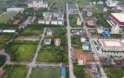 Điều kiện và cách tính tiền bồi thường khi thu hồi đất nông nghiệp