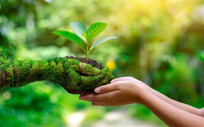 Chuyên gia nói gì về định mức chi phí tái chế sản phẩm, bao bì (Fs) - Bắt buộc người gây ô nhiễm phải trả tiền