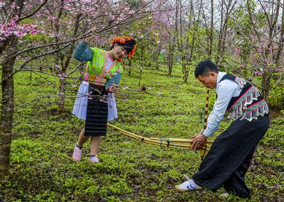 Độc đáo tiếng khèn mùa xuân trên Cao nguyên trắng