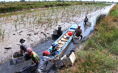 Đồng bằng sông Cửu Long thích ứng với biến đổi khí hậu, chuyển đổi sản xuất phù hợp lợi thế tự nhiên