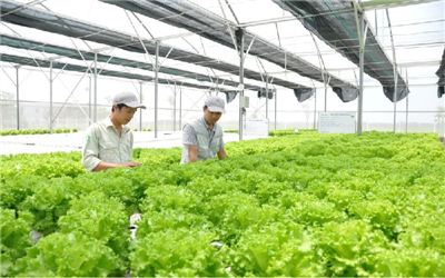 Đồng bộ các giải pháp thực hiện tăng trưởng xanh