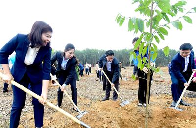 Đồng chí Võ Văn Thưởng, Ủy viên Bộ Chính trị, Chủ tịch nước dự Lễ phát động Tết trồng cây Xuân Giáp Thìn 2024 tại Tuyên Quang