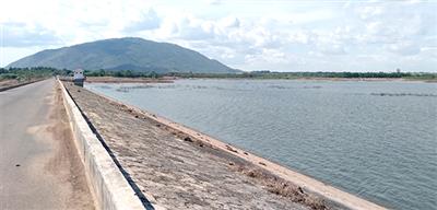 Đồng Nai: Chưa xử lý dứt điểm các vi phạm đất đai trong bảo vệ công trình thủy lợi