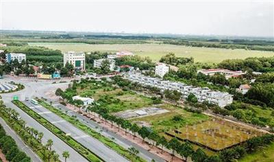 Đồng Nai: Đấu giá quyền sử dụng đất không để gây nhiễu loạn thị trường