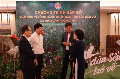 Đồng Tháp: Cộng đồng chung tay đưa đàn sếu trở về