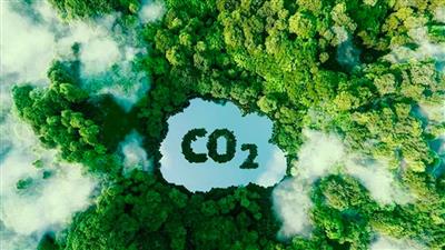 Giải pháp thúc đẩy thị trường tín chỉ carbon tại Việt Nam