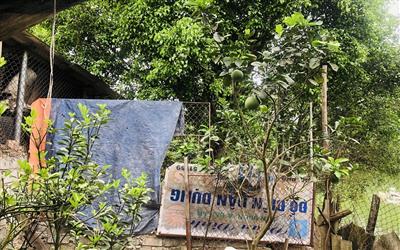 Hà Nội: Dân lấn chiếm đất công, chính quyền vào cuộc