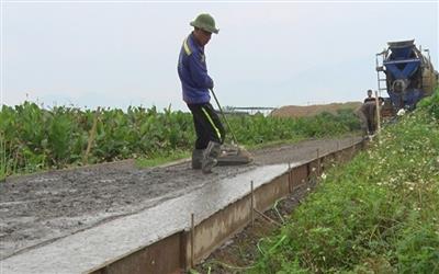 Hà Nội: Đấu giá hàng trăm nghìn m2 đất nông nghiệp tại Ba Vì
