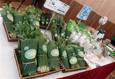 Hà Nội phấn đấu 100% siêu thị, trung tâm thương mại không sử dụng túi nilon khó phân hủy