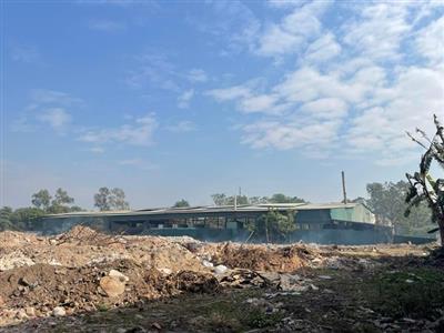 Hà Nội xem xét chuyển mục đích 7,8 ha đất trồng lúa tại Gia Lâm