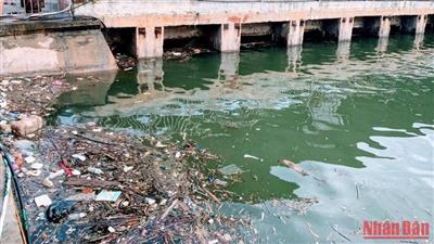 Hải Phòng công bố 17 số điện thoại đường dây nóng về ô nhiễm môi trường