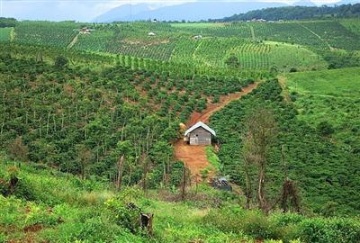 Hạn chế, bất cập về hòa giải tranh chấp đất đai ở chính quyền cấp xã