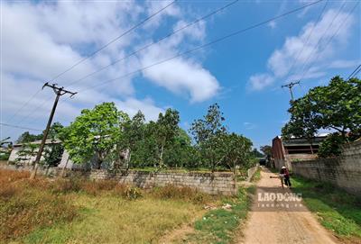Hàng chục hộ dân khốn khổ bên trại lợn ô nhiễm giữa khu dân cư