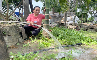 Hàng loạt trại chăn nuôi ở Đắk Nông gây ô nhiễm môi trường