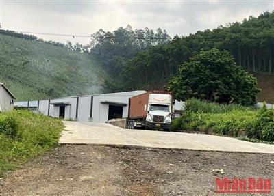 Hàng loạt vi phạm về đất đai ở Bắc Kạn