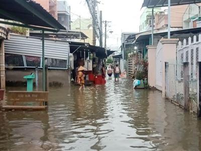 Hàng nghìn hộ dân Bạc Liêu khốn khổ vì mưa ngập và triều cường