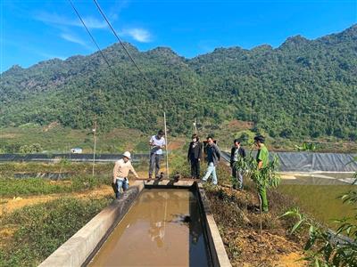 Hiệu quả triển khai công tác thanh tra, kiểm tra lĩnh vực tài nguyên và môi trường