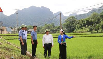 Hòa Bình: Tuyên truyền và đối thoại với người dân về việc thực hiện nghiêm túc Luật Đất đai năm 2024