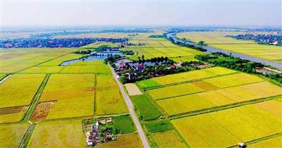 Hoàn thiện chính sách quản lý, sử dụng đất nông nghiệp