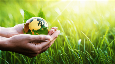 Hoàn thiện pháp luật về tội gây ô nhiễm môi trường