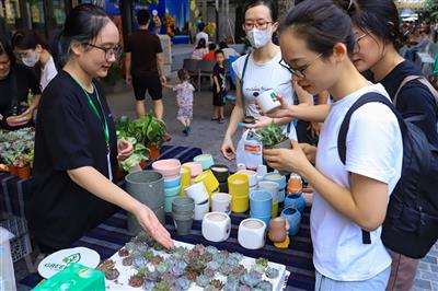 Hoạt động 'Đổi rác lấy cây' lan tỏa thông điệp bảo vệ môi trường