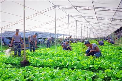 Học viện Hải quân: Bảo vệ môi trường nơi đóng quân