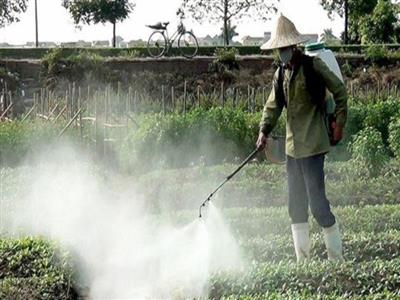 Hội Nông dân tỉnh Thái Bình xây dựng mô hình tiêu biểu trong bảo vệ môi trường