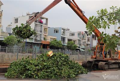 Hơn 100 tấn rác và lục bình phủ kín kênh Nước Đen đã được vớt sạch