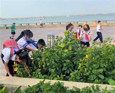 Hơn 300 GV, đội viên tham gia làm sạch bãi biển TP.Vũng Tàu
