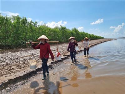 Hưng Yên: Trồng rừng, bảo vệ rừng… rừng “trả ơn” tôm, cua, cá