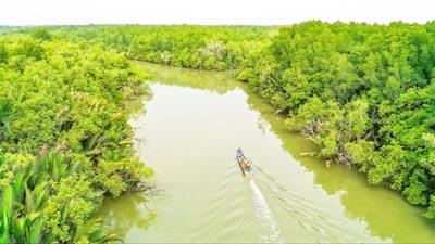 Hướng tới thành phố phát triển xanh, bền vững