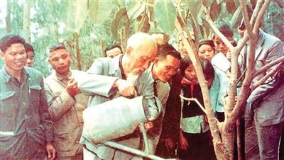 Hưởng ứng Ngày Môi trường thế giới 5/6 - Chủ tịch Hồ Chí Minh với môi trường sinh thái